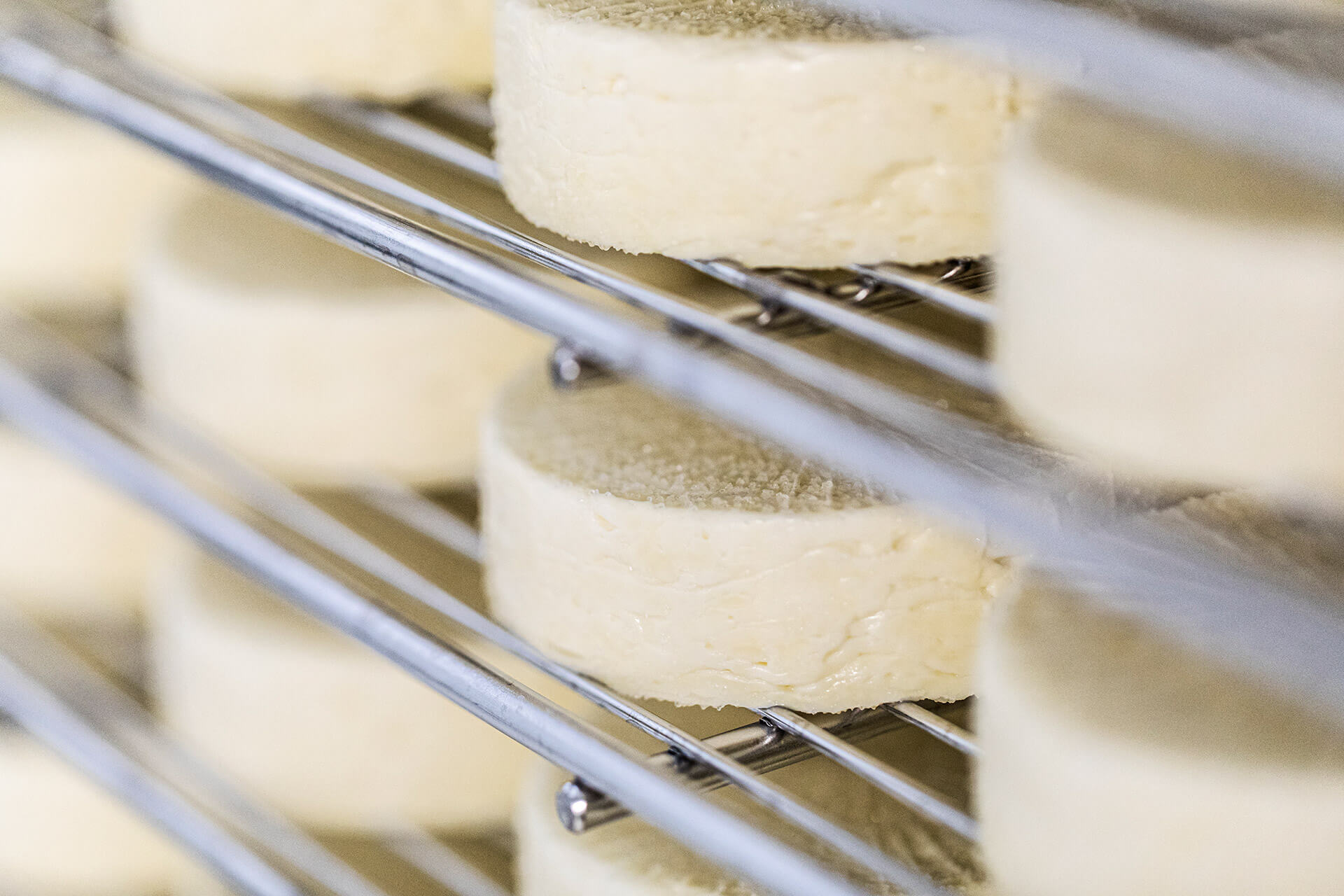 Trockensalzung der Laibe