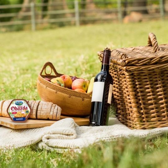 Picknick im Grünen - Welches Brot passt zu Obazda?